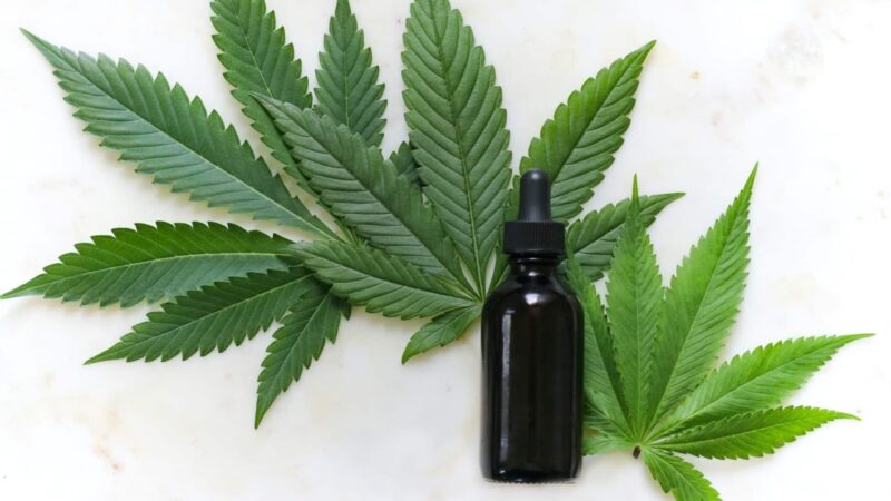 CBD Property Helps Combat Pathological Conditions And Skin Diseases