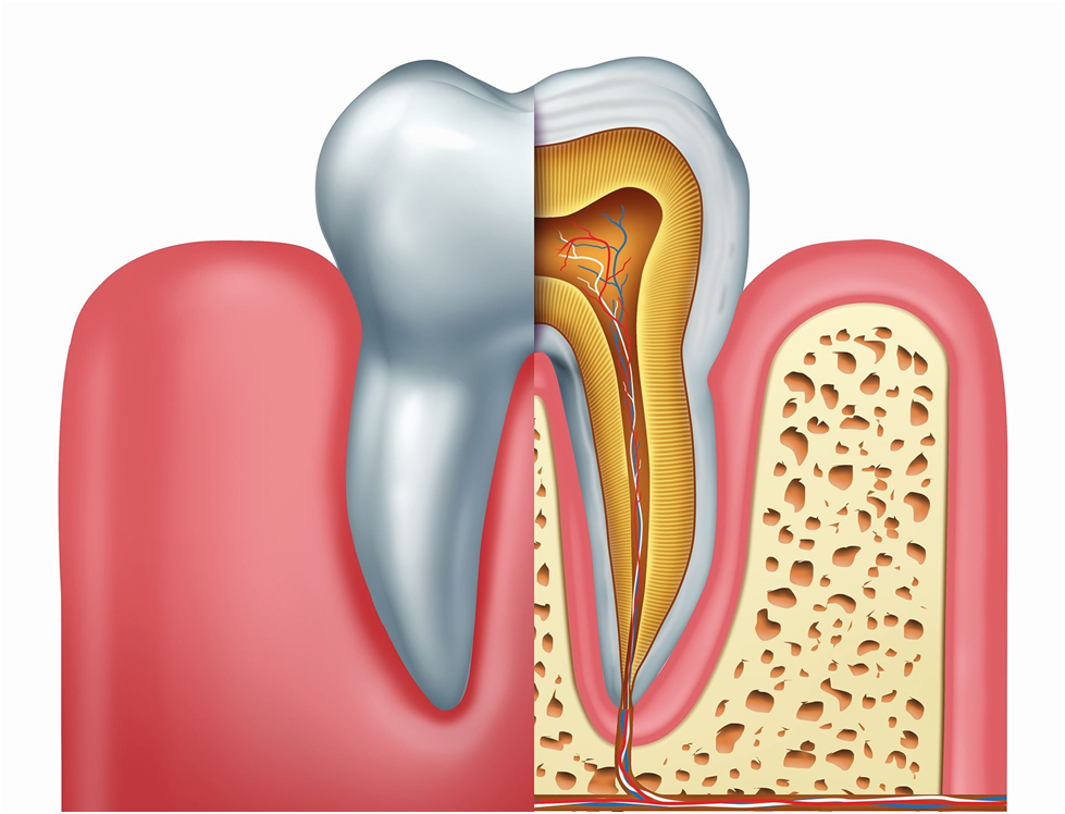 What Is Root Canal Therapy?