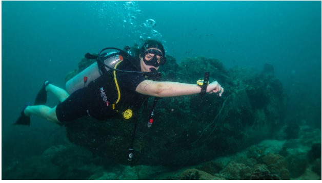 Why Choose La Bombona Diving’s Open Water Diving Course in Koh Tao