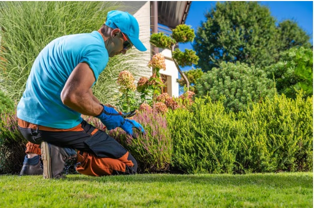 How Does a Landscaping Employment Agency in Texas Work?