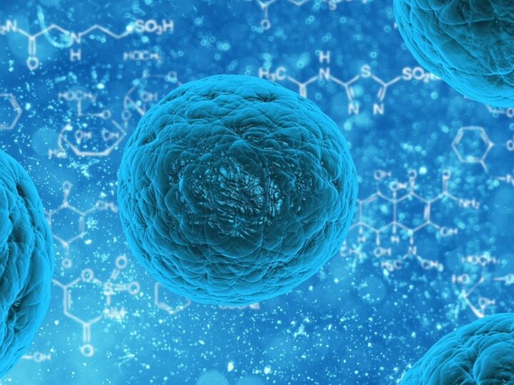 Human TNF Alpha ELISA Kit to Study the Cytokine Storm in Infectious Disease Research
