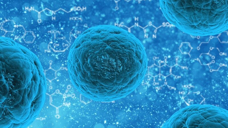 Human TNF Alpha ELISA Kit to Study the Cytokine Storm in Infectious Disease Research
