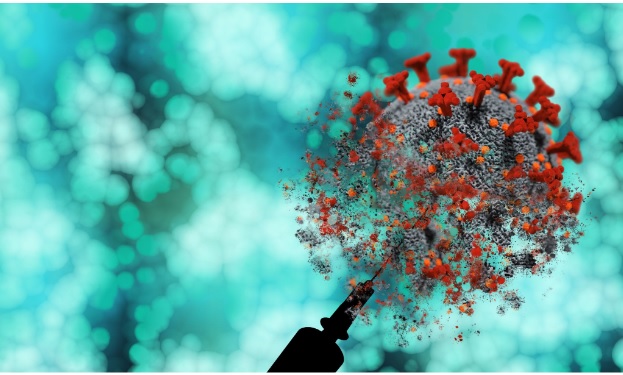 Why Are Recombinant Antibodies Better Than Traditional Animal-Made Antibodies