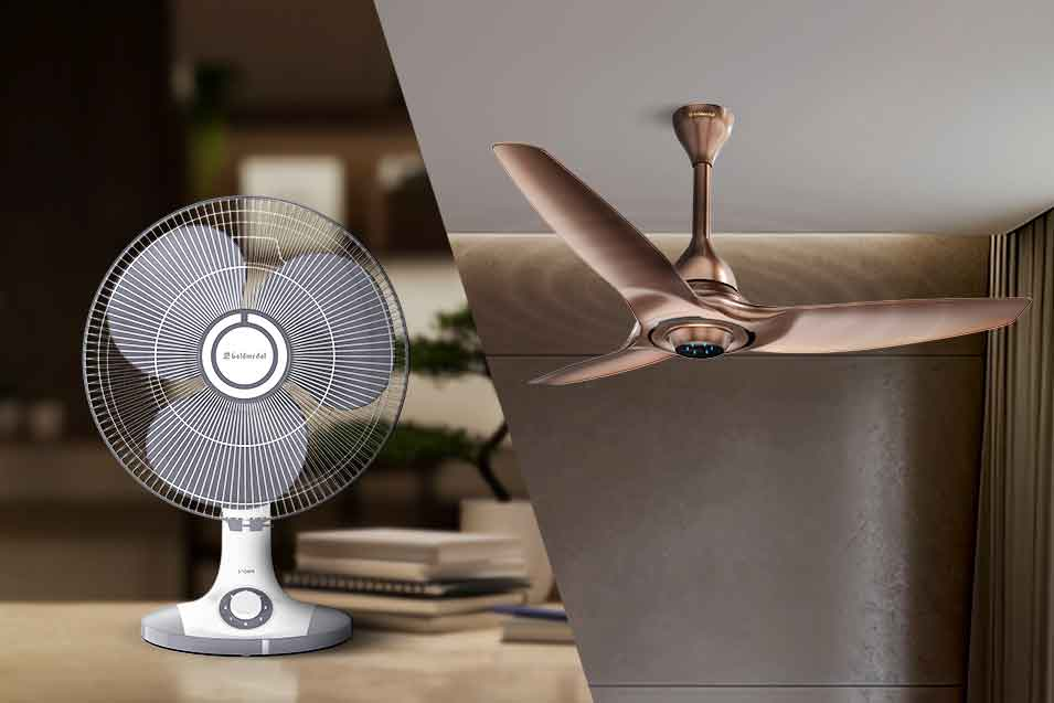 How to Compare Fan Price with Features Before Buying