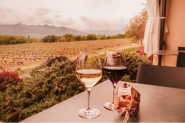 Explore and Find Your Perfect Pour Across the Golden State