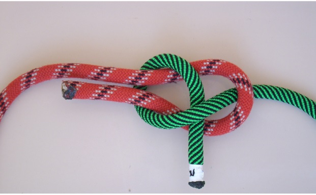 Scuba Diving Knots Explained: Essential Knots Every Diver Should Know for Safety