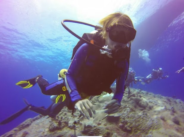 How to Plan an Affordable Trip Around Koh Tao Diving Prices