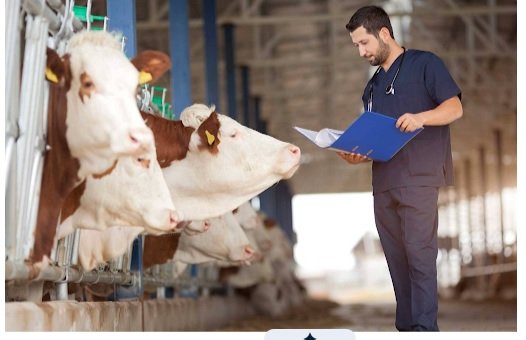 How to Select a Third-Party Veterinary Manufacturing Company in Haryana